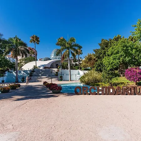 Acogedor En Centro By Rent Me